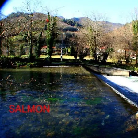 Zentral Club Voltio-jacuzzi Belmonte De Miranda