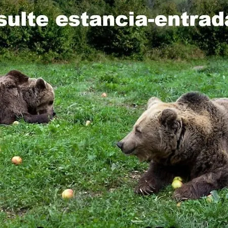 Zentral Club Voltio-jacuzzi